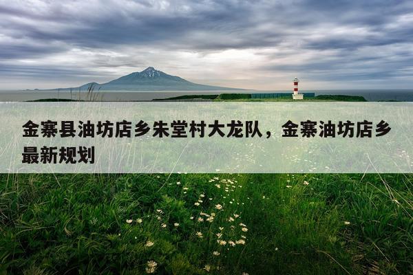 金寨县油坊店乡朱堂村大龙队，金寨油坊店乡最新规划