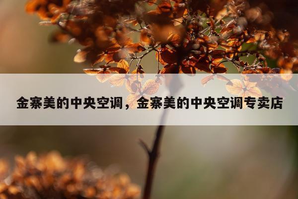 金寨美的中央空调，金寨美的中央空调专卖店